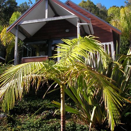 Bay Cabinz Motel Пейхия Экстерьер фото